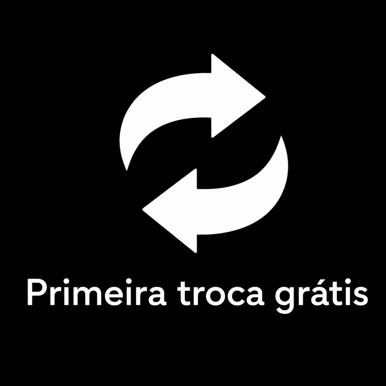 Imagem 3 da seção 1