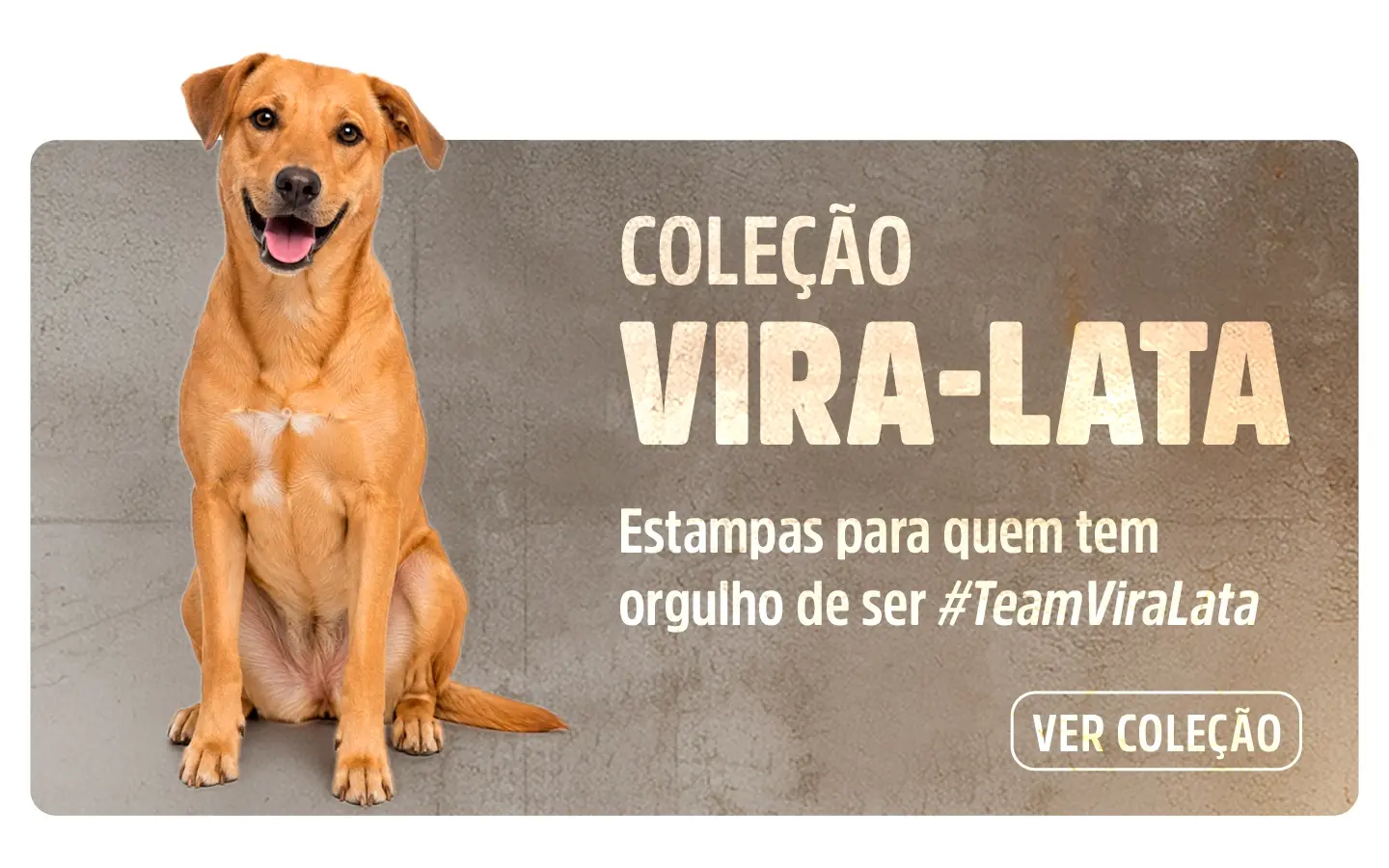 Imagem 0 da seção 6