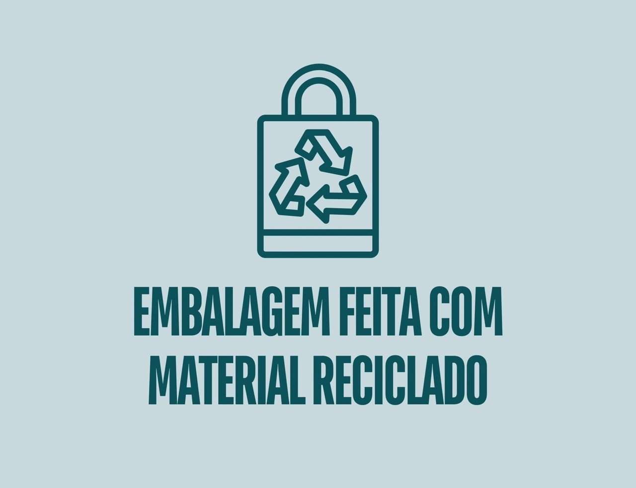 Imagem 4 da seção 1