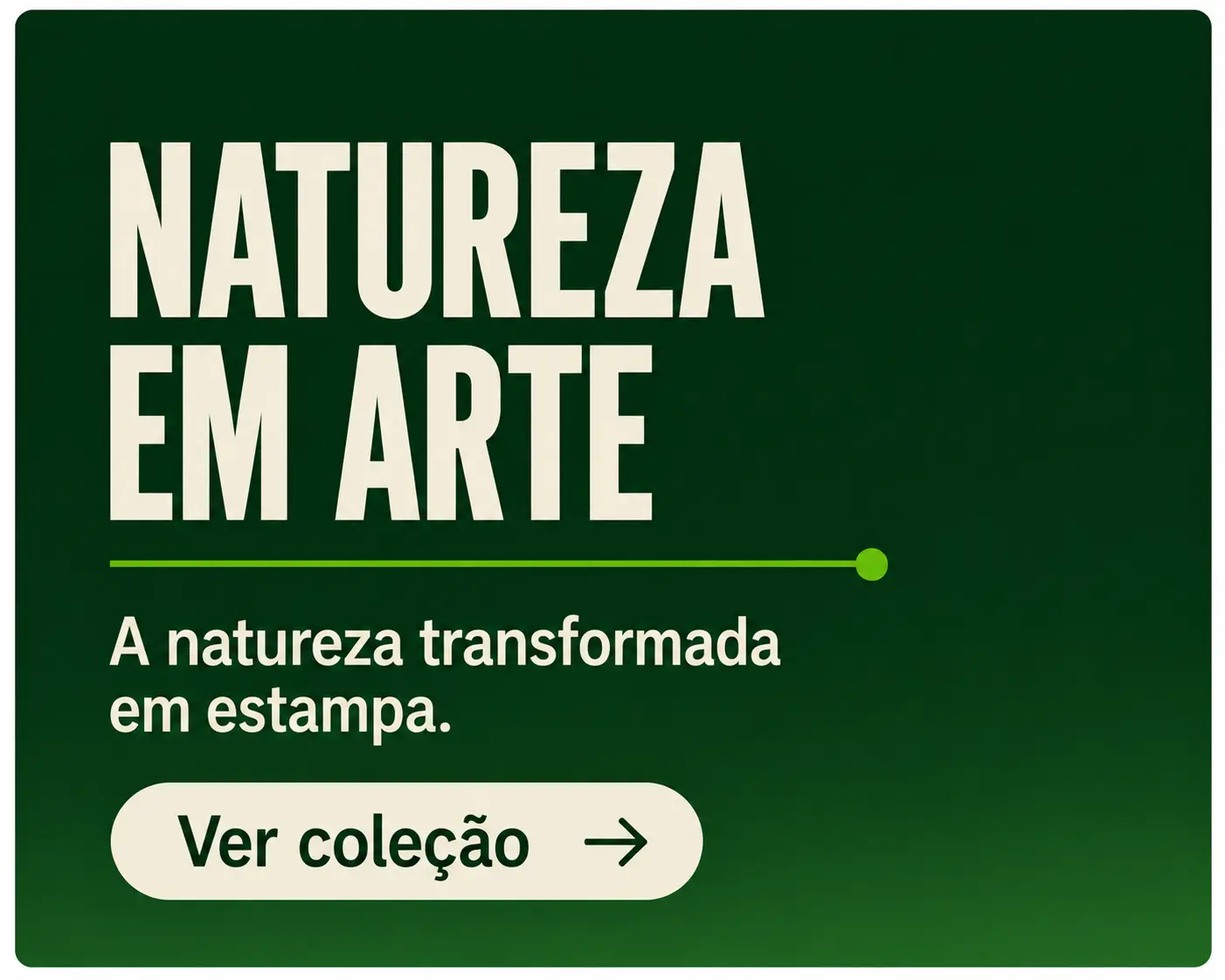 Imagem 1 da seção 2