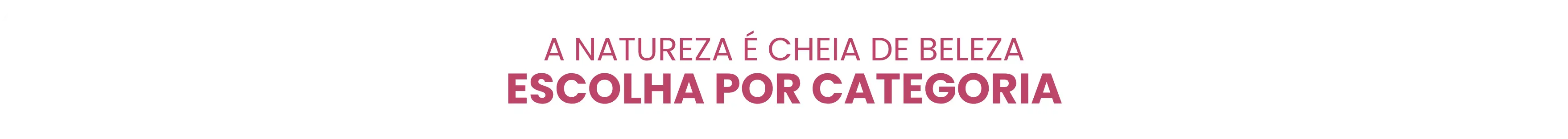 Imagem 0 da seção 6