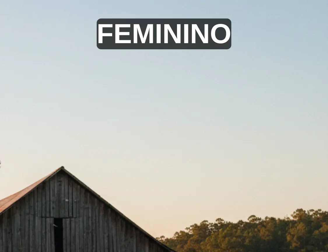 Mini banner