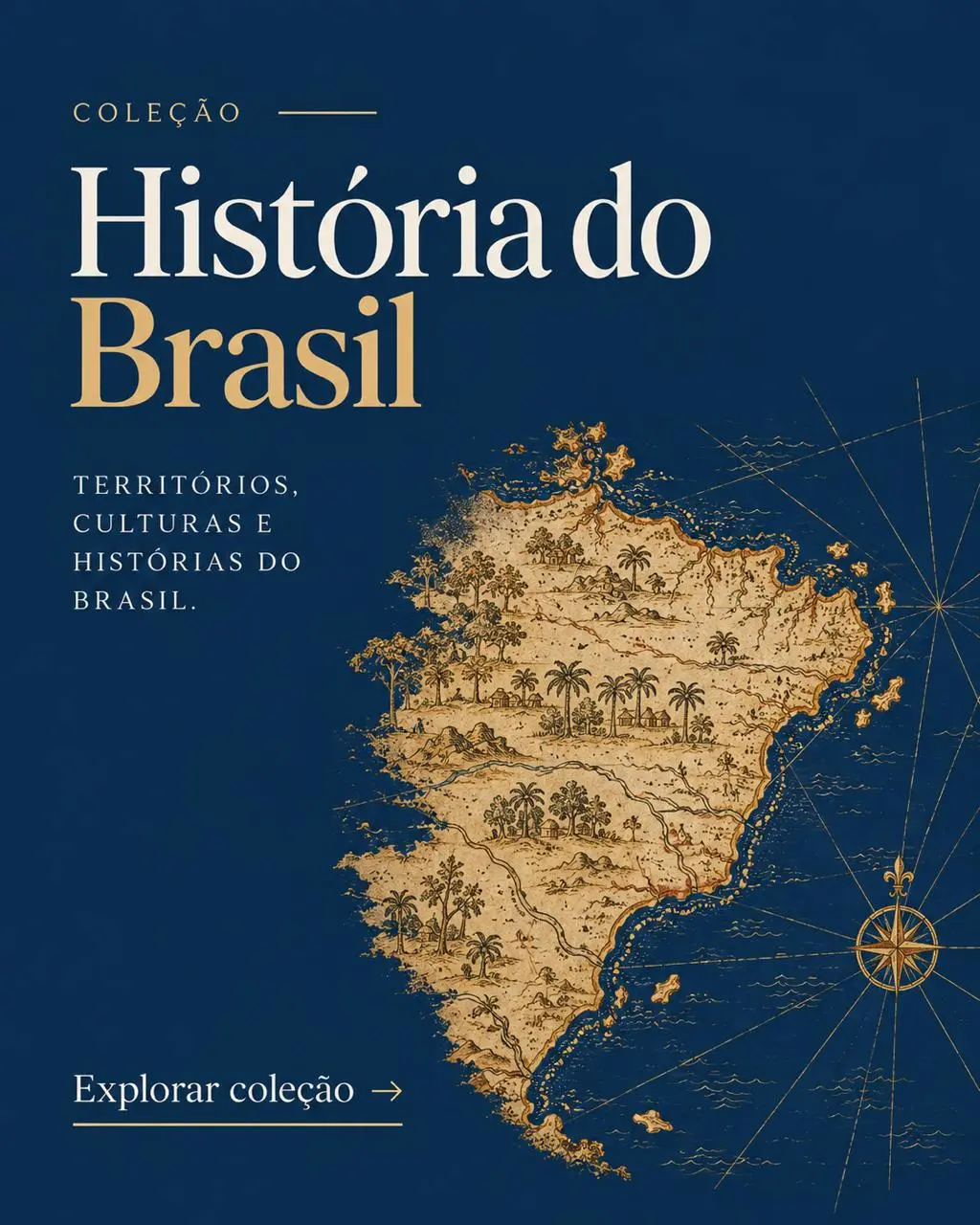 Imagem 4 da seção 6