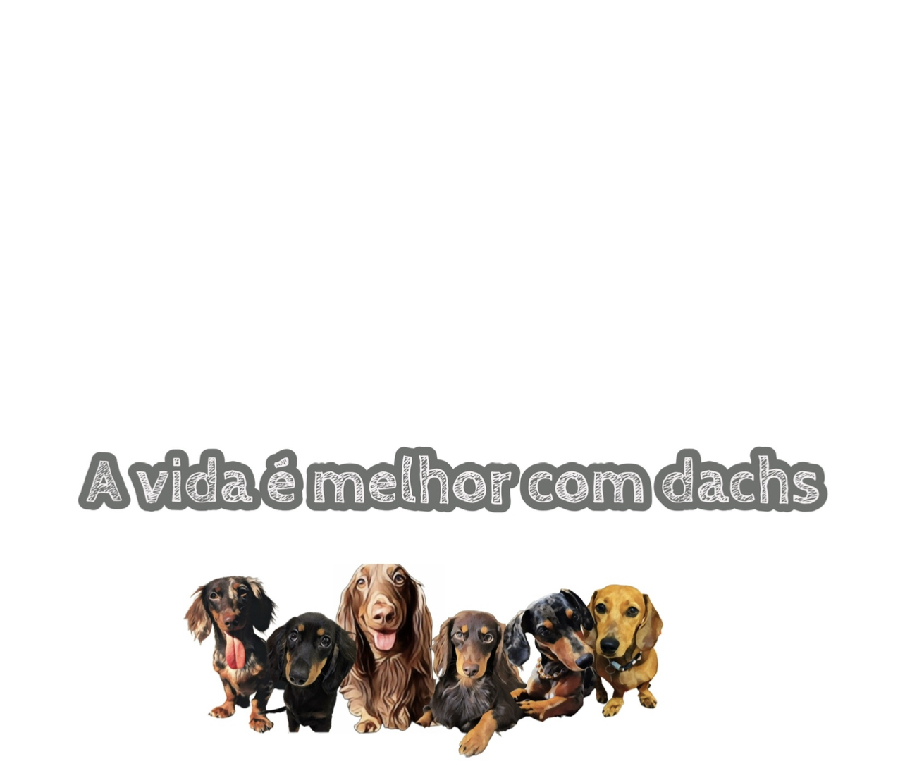 Banner 1