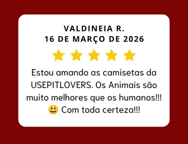 Imagem 4 da seção 6