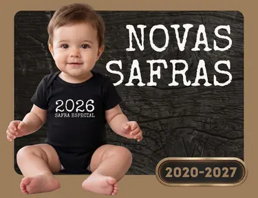 Imagem 0 da seção 3