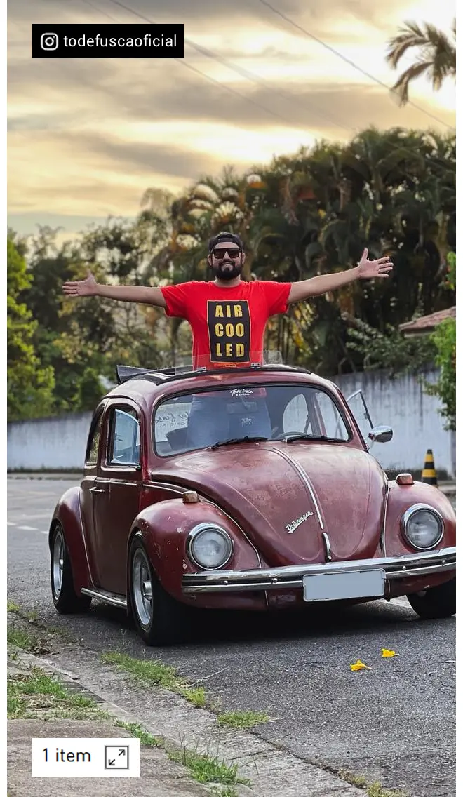 Imagem 4 da seção 2