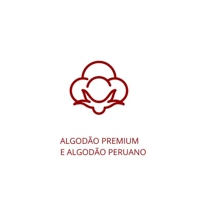 Imagem 4 da seção 8
