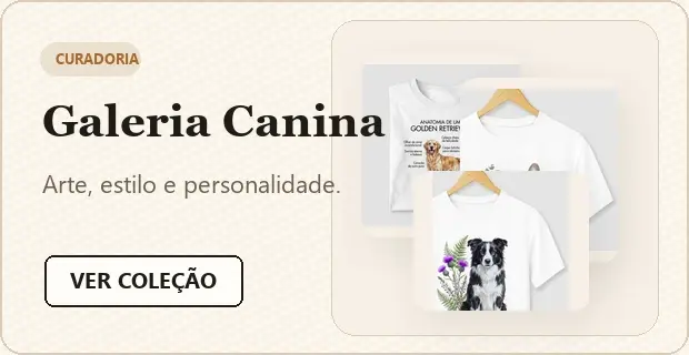 Imagem 2 da seção 8