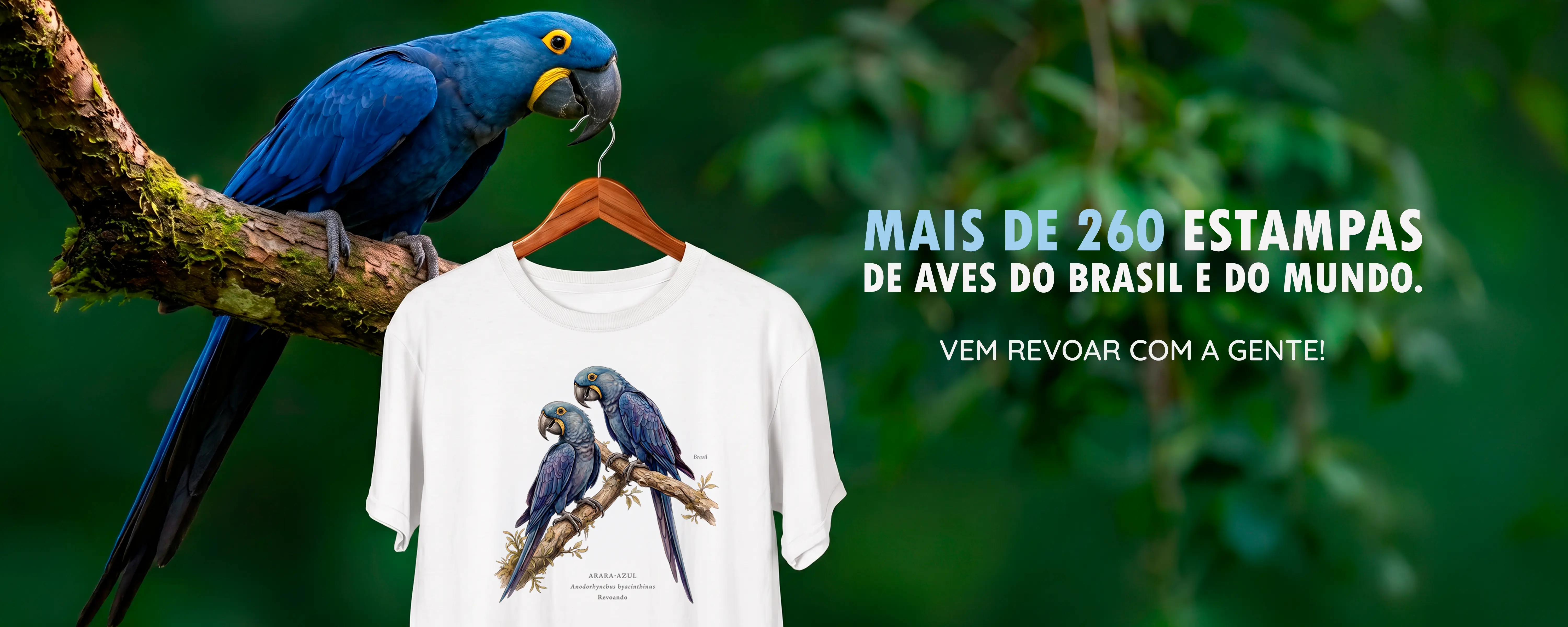 Imagem 0 da seção 0