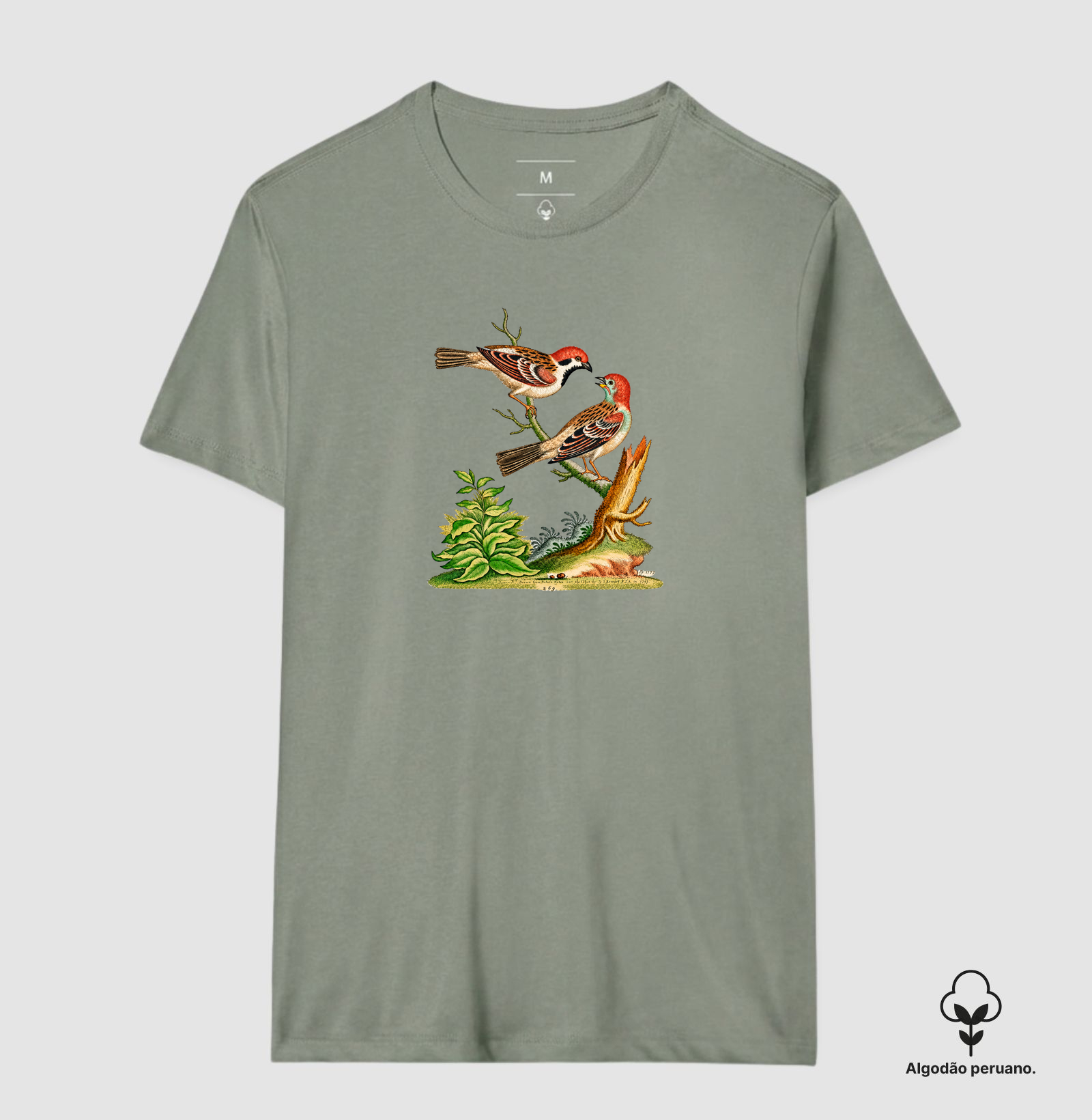 Camiseta Pássaros — História Natural do Século XVIII - Imagem 10