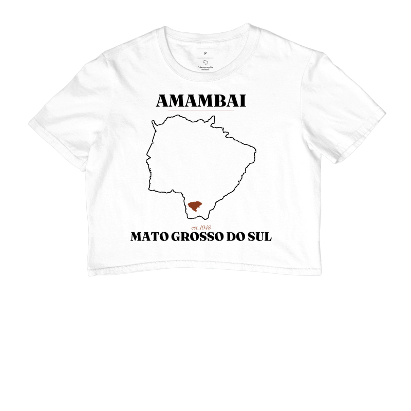 Amambai | Legado MS - Imagem 3