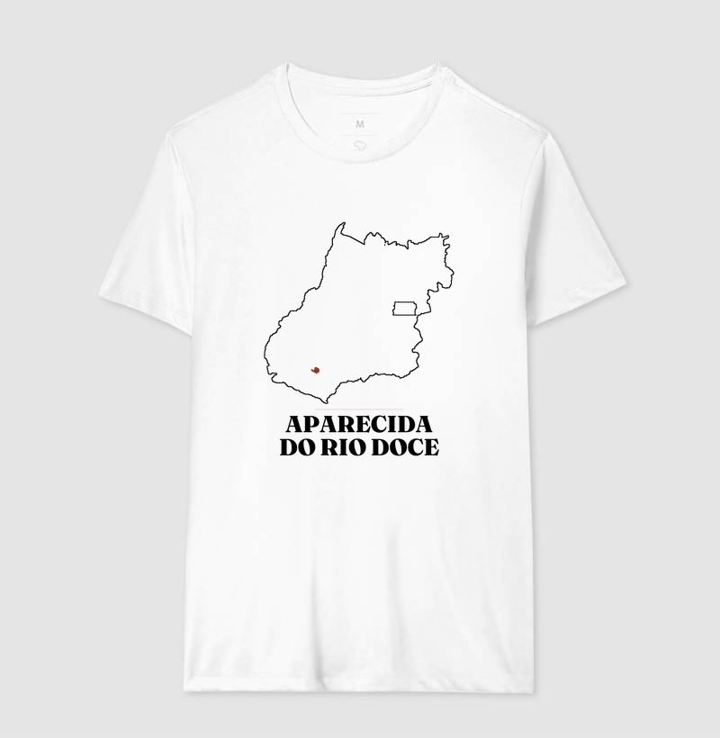 Aparecida do Rio Doce | Traço GO - Imagem 4