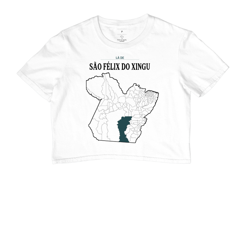 São Félix do Xingu | Território PA - Imagem 3