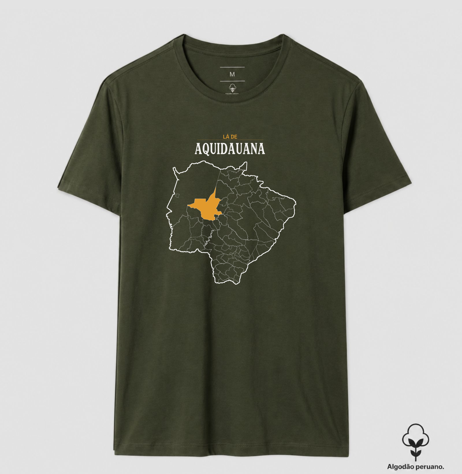 Aquidauana | Território MS - Imagem 5