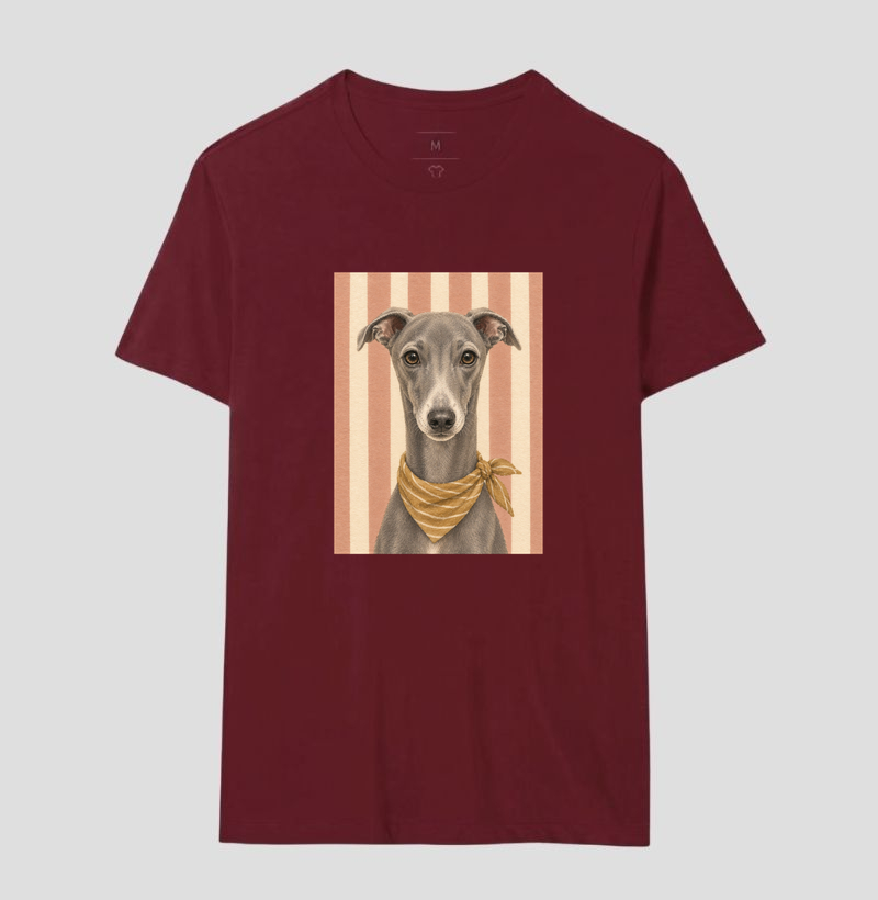 Galguinho Italiano - Gentle Paws - Imagem 18