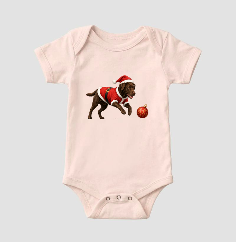 Labrador Chocolate - Natal - Imagem 5