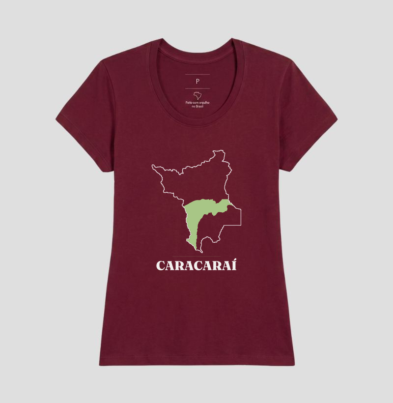 Caracaraí | Traço RR - Imagem 19