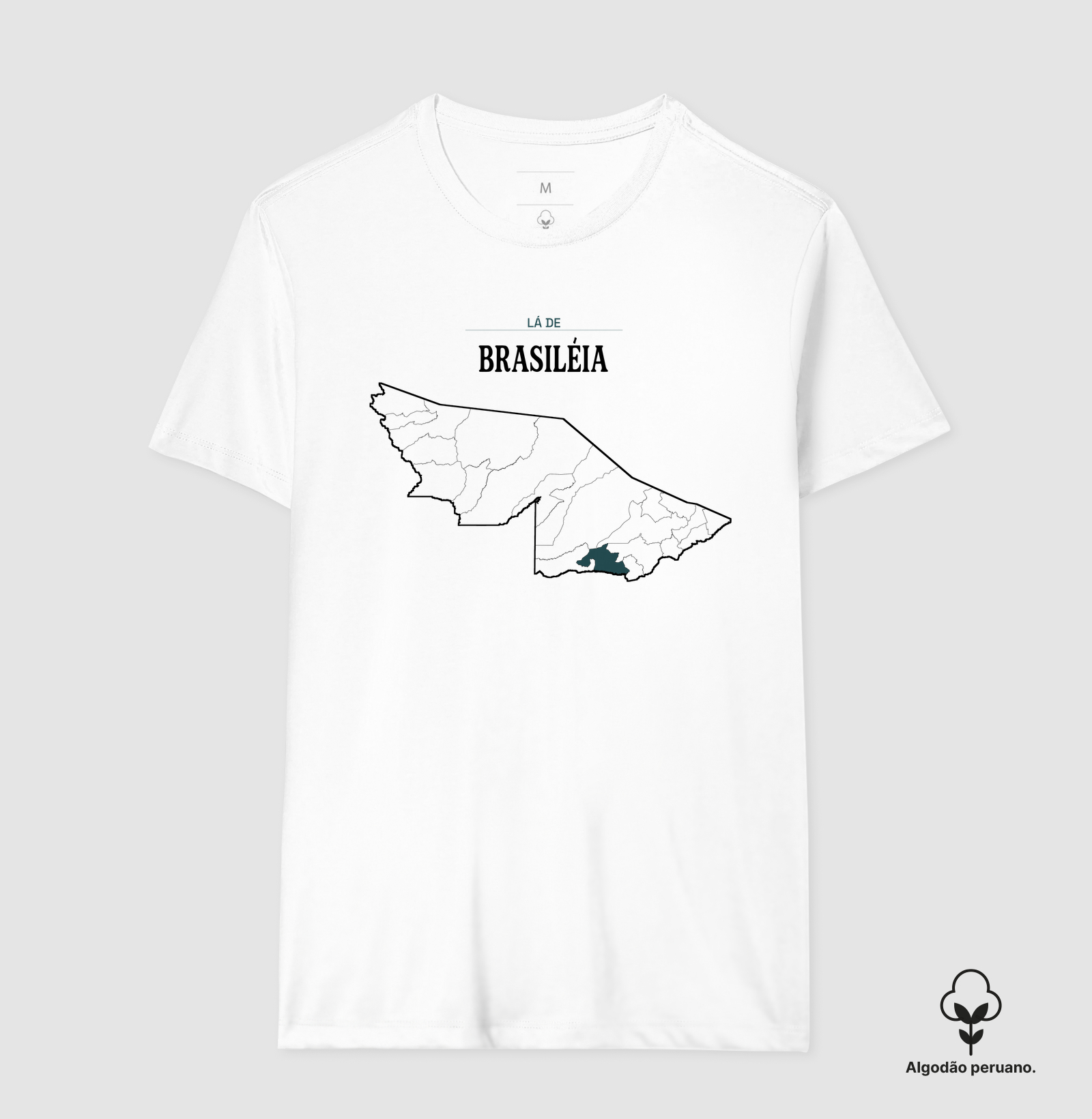 Brasiléia | Território AC - Imagem 4