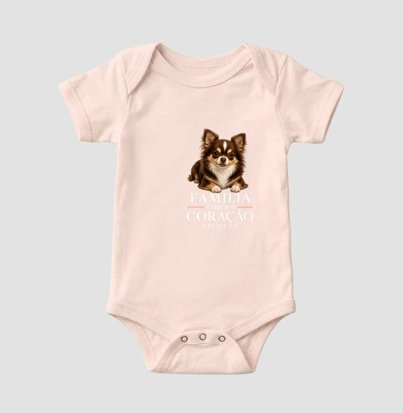 Chihuahua Pelo Longo Marrom - Família - Imagem 5