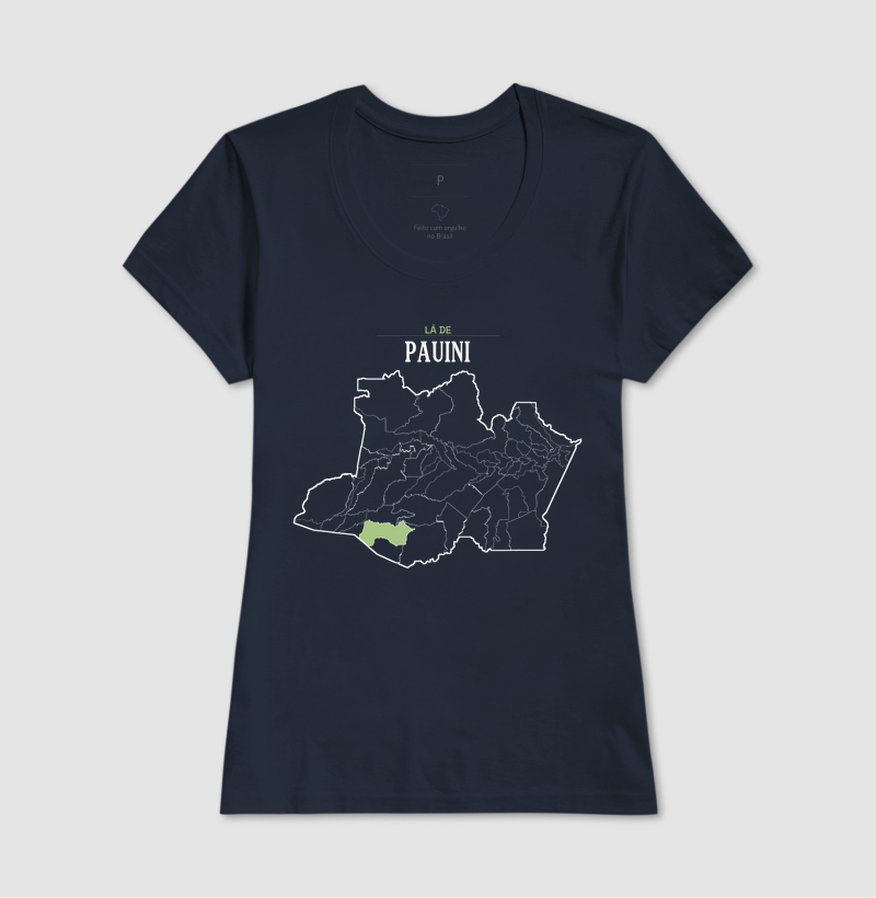 Pauini | Território AM - Imagem 7