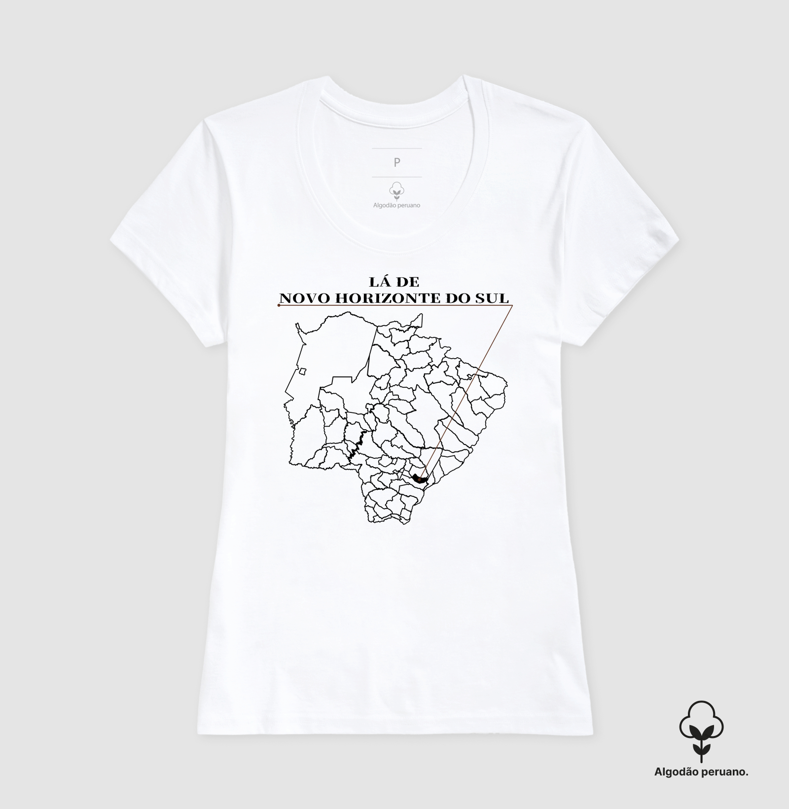 Novo Horizonte do Sul | Origem MS - Imagem 6