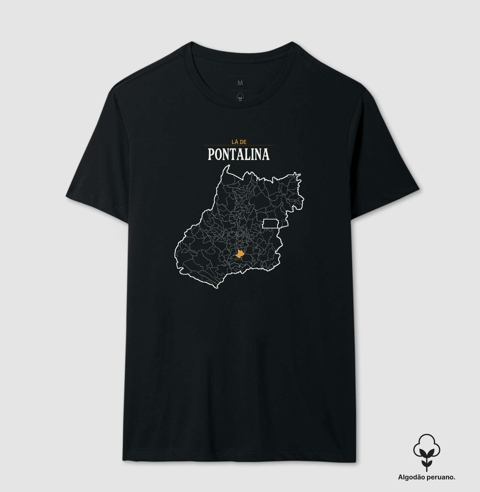 Pontalina | Território GO - Imagem 2