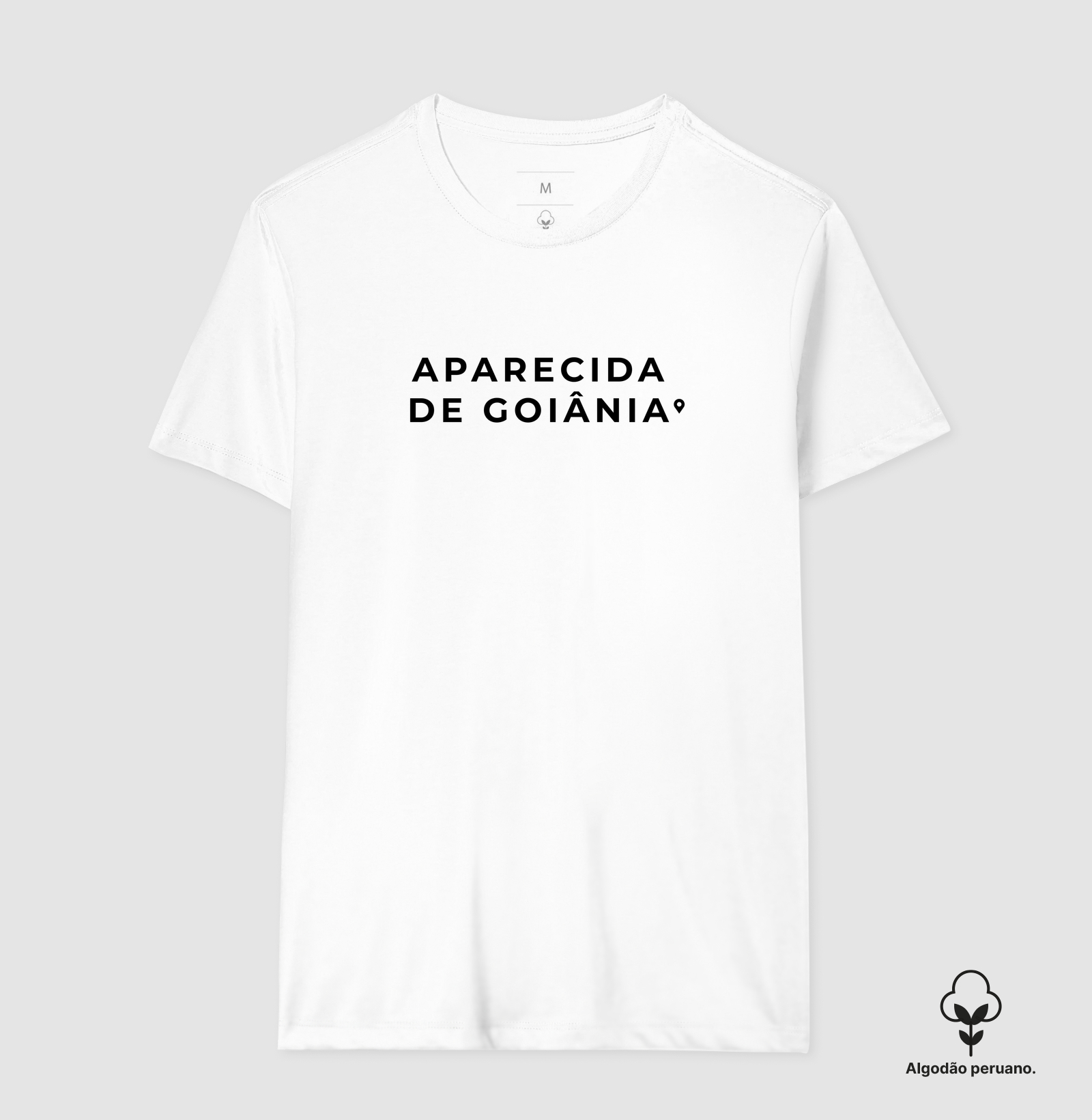 Aparecida de Goiânia | Pin GO - Imagem 4