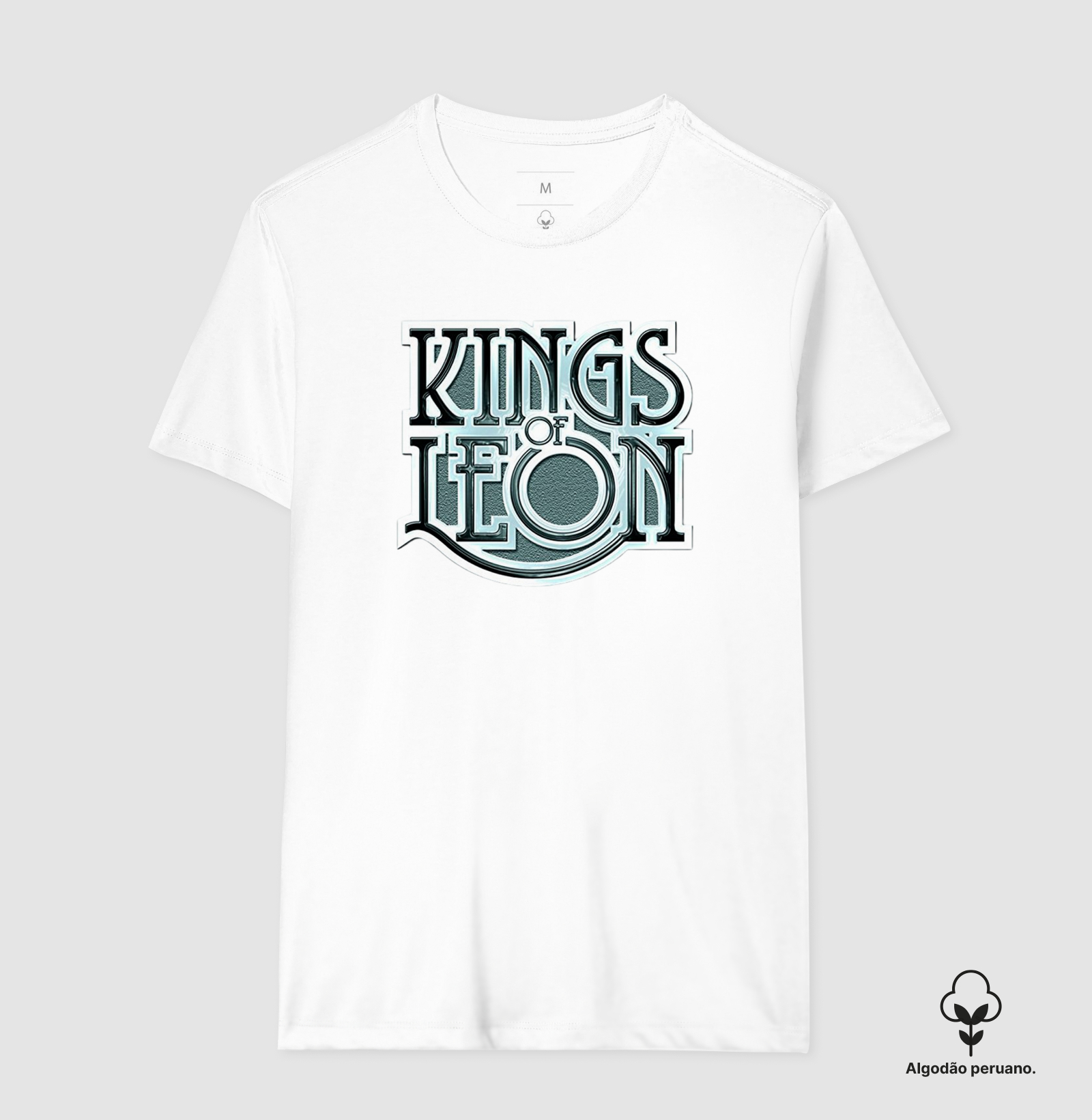 Kings Of Leon - Imagem 7