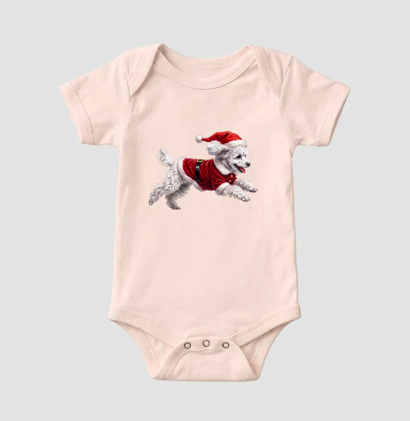 Poodle Branco - Natal - Imagem 5