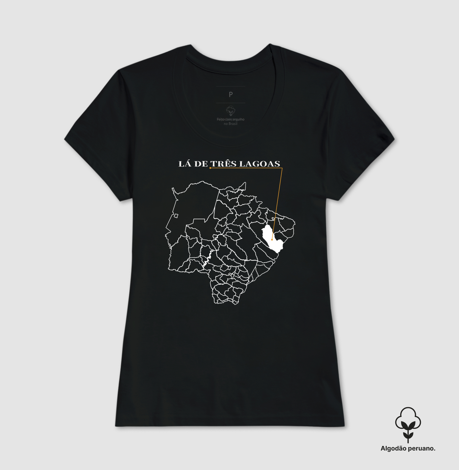 Três Lagoas | Origem MS - Imagem 4