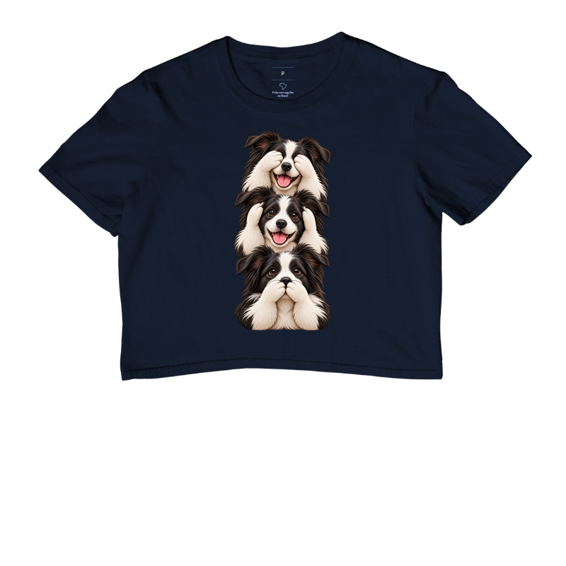 Ver, ouvir e falar Border Collie - Imagem 4