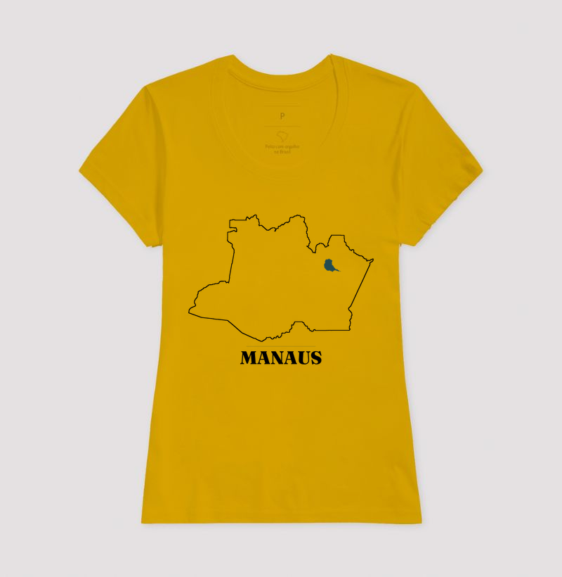 Manaus | Traço AM - Imagem 15