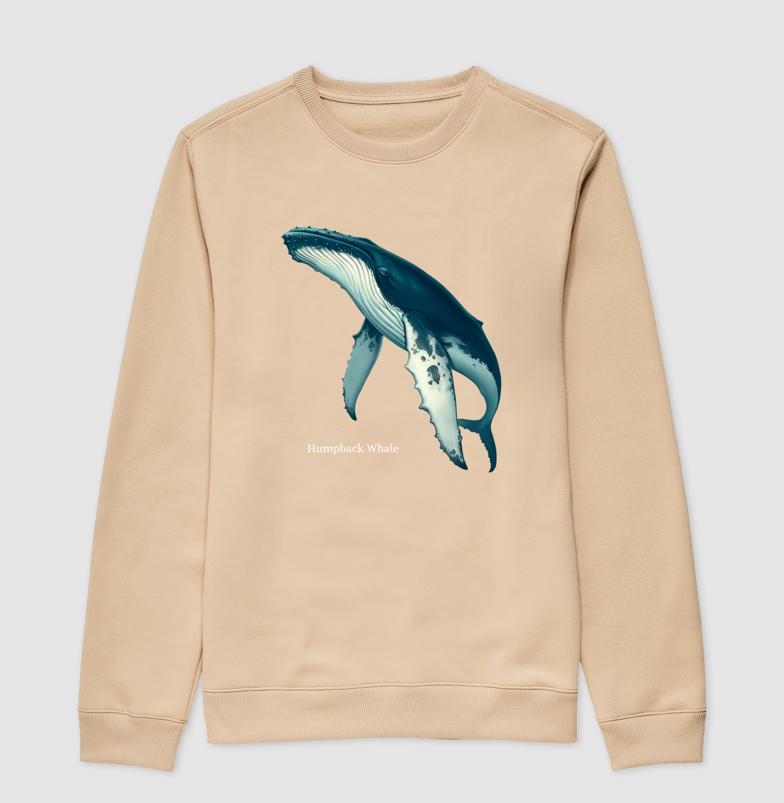 Humpback Whale - Imagem 5