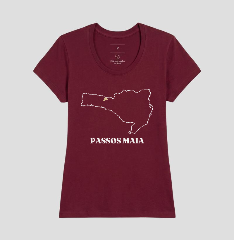 Passos Maia | Traço SC - Imagem 19