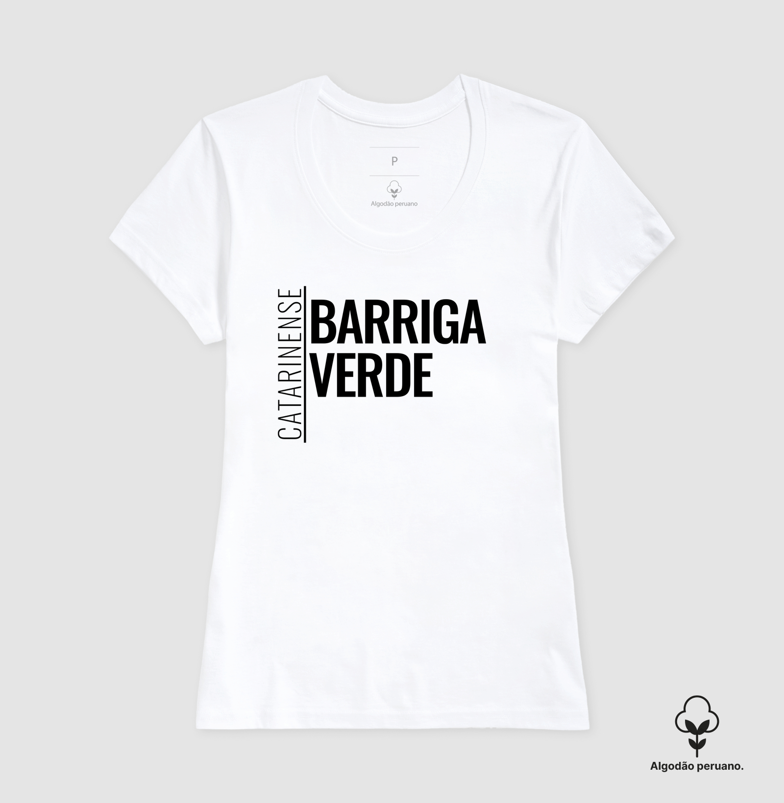 Catarinense — Barriga-Verde - Imagem 7