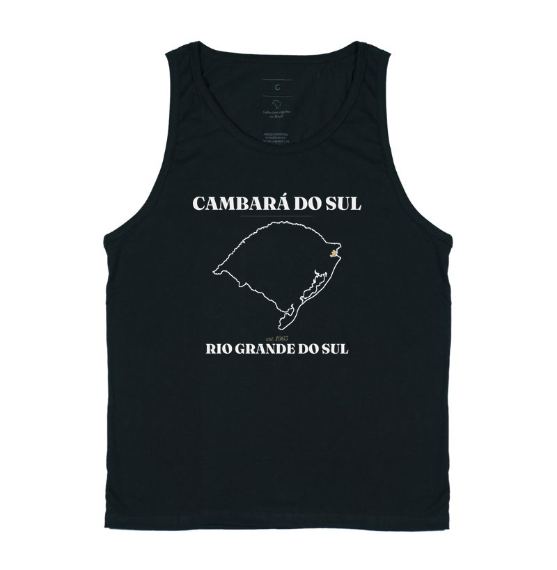 Cambará do Sul | Legado RS - Imagem 3