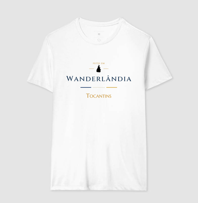 Feito em Wanderlândia TO - Imagem 4