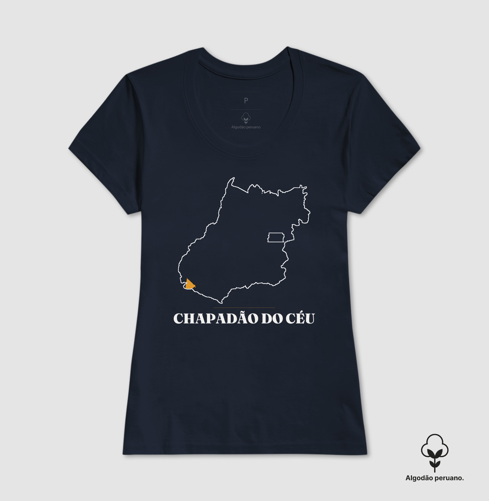 Chapadão do Céu | Traço GO - Imagem 4