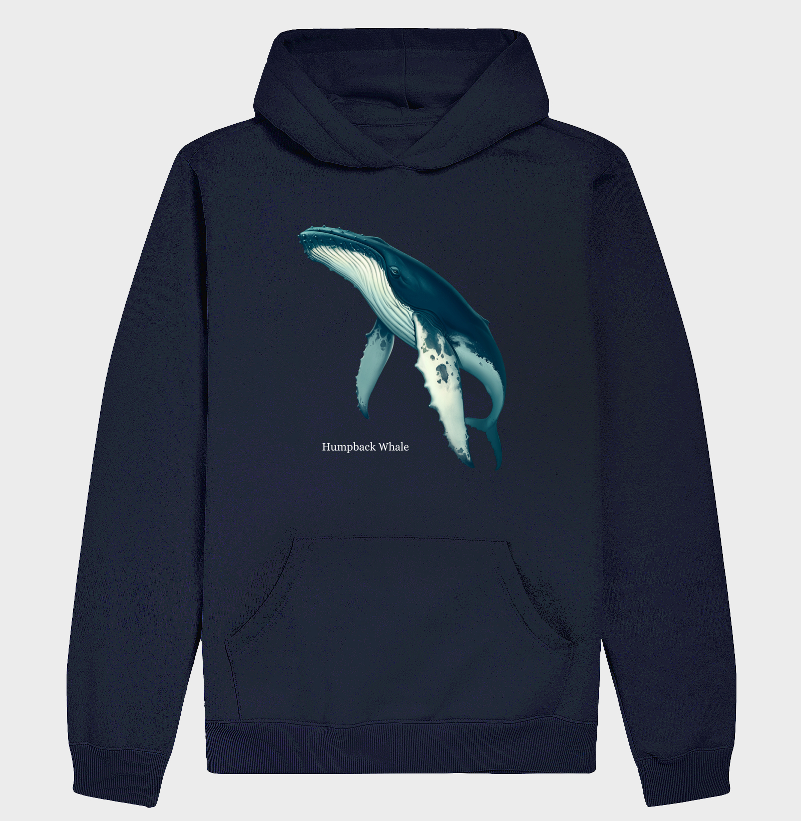 Humpback Whale - Imagem 6
