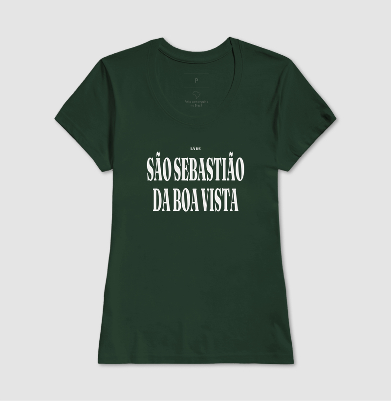 São Sebastião da Boa Vista | Tipografia PA - Imagem 13