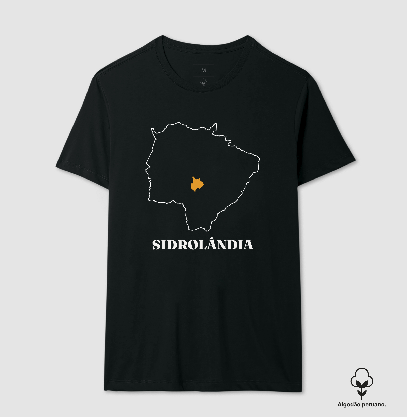Sidrolândia | Traço MS - Imagem 2