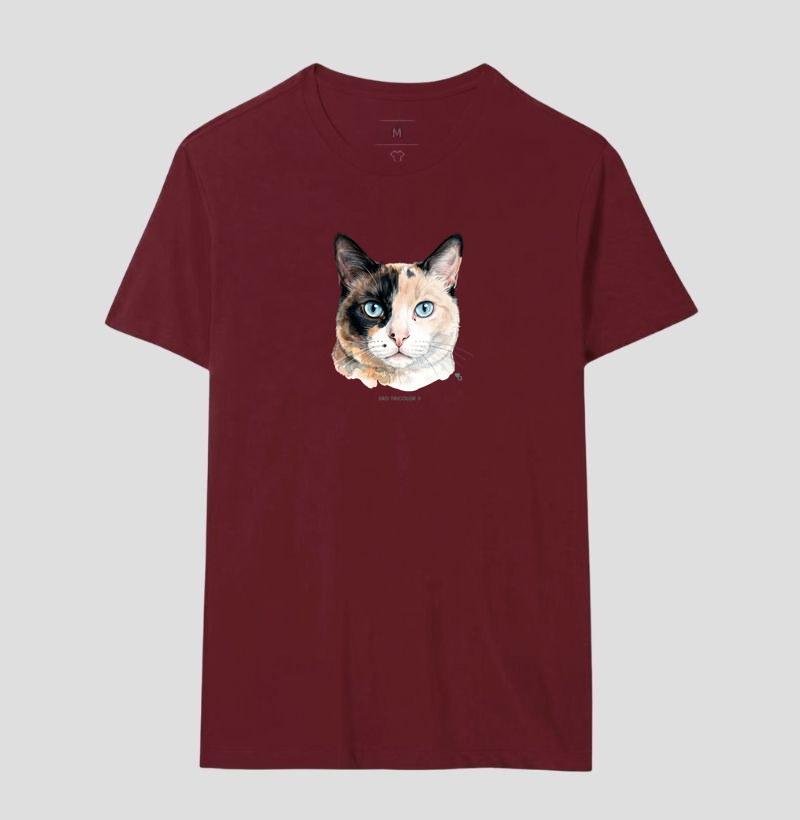 Gatos - SRD Tricolor II - Imagem 16