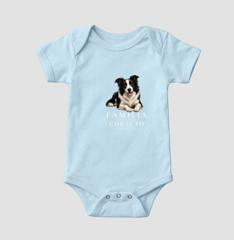 Border Collie - Família - Imagem 4