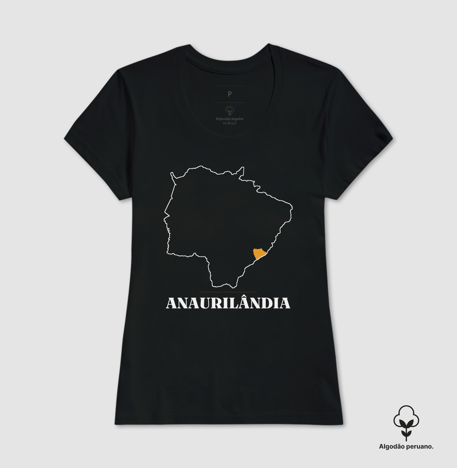 Anaurilândia | Traço MS - Imagem 4