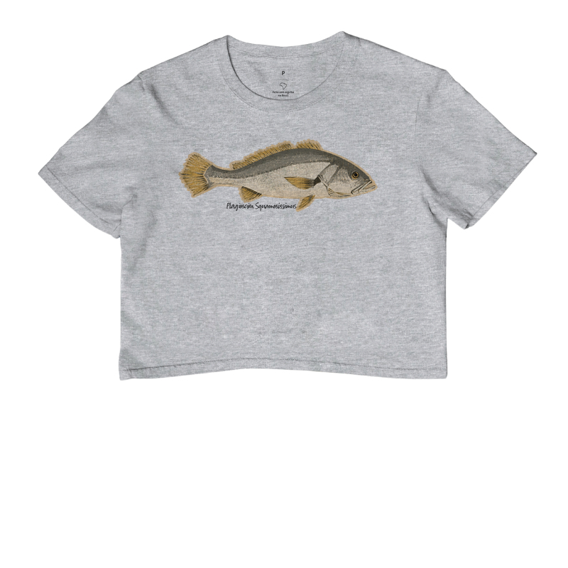 🎣 Corvina 🐟 - Imagem 6