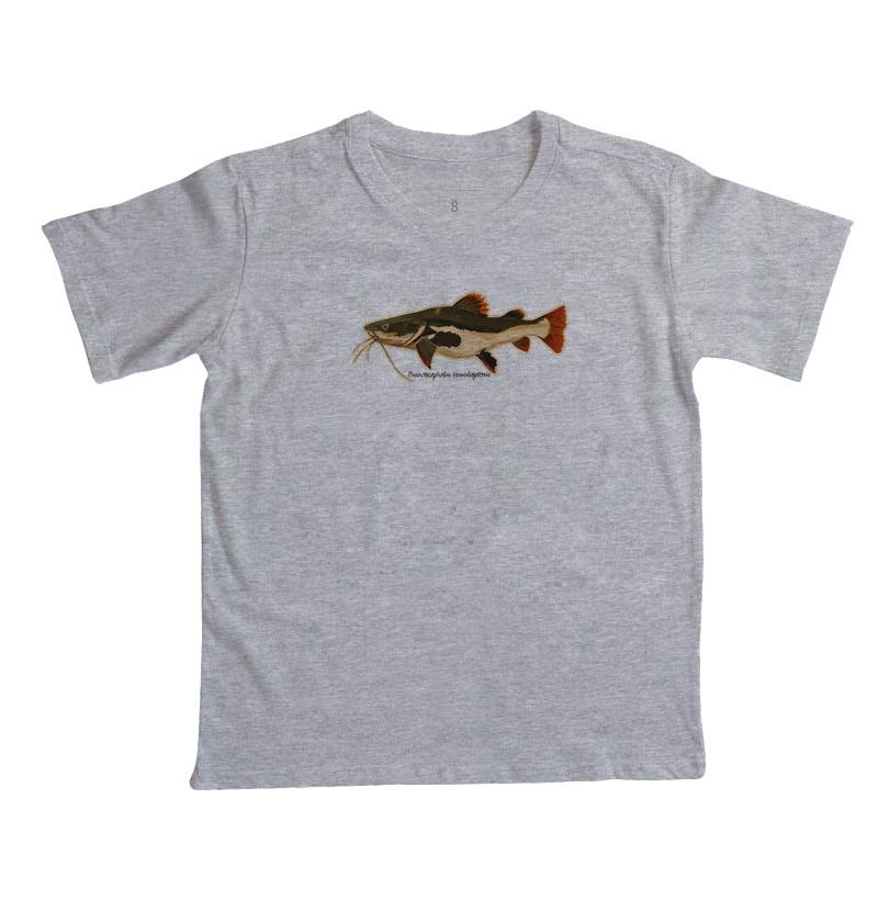Pirarara 🐟 - Imagem 6