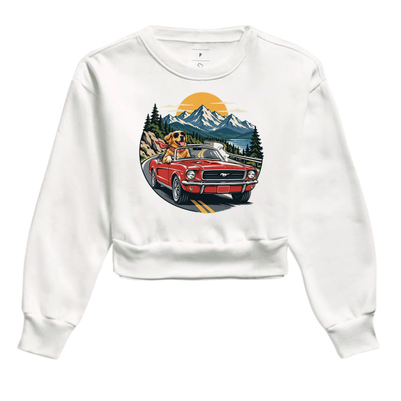 Road Trip - Imagem 3