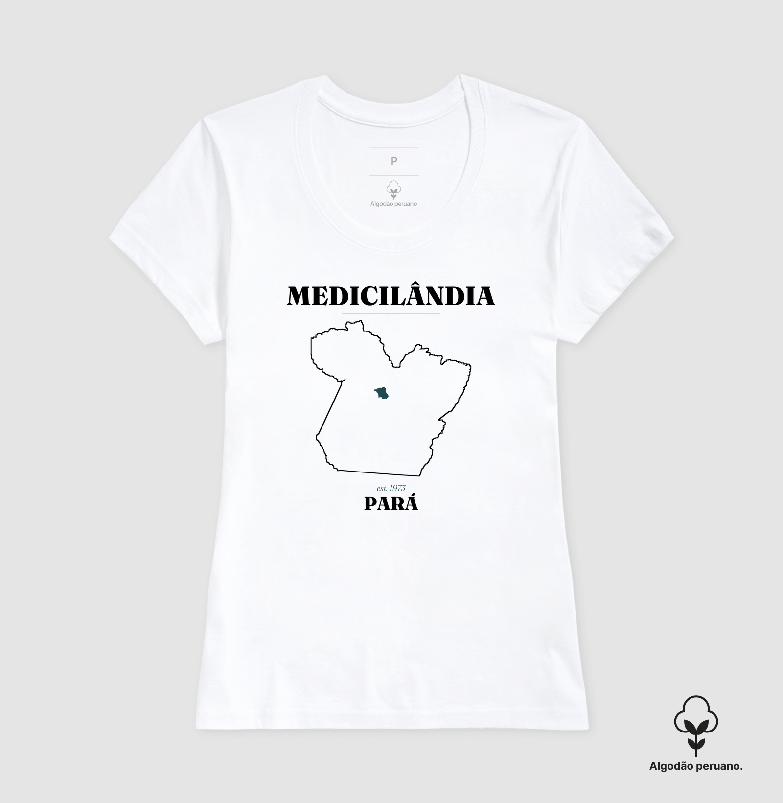 Medicilândia | Legado PA - Imagem 8