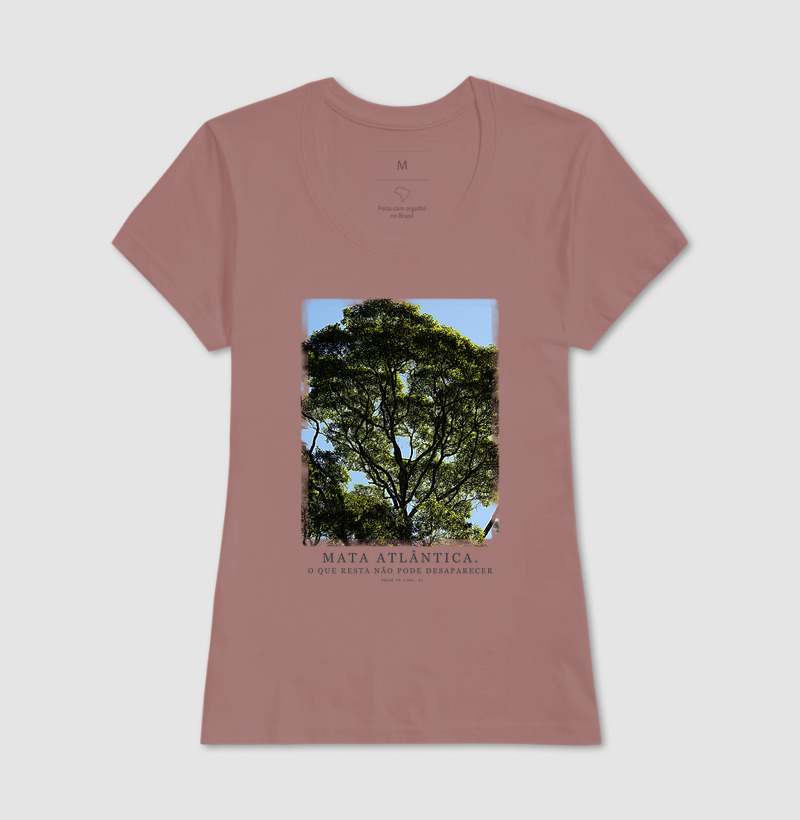 Mata Atlântica - Imagem 11